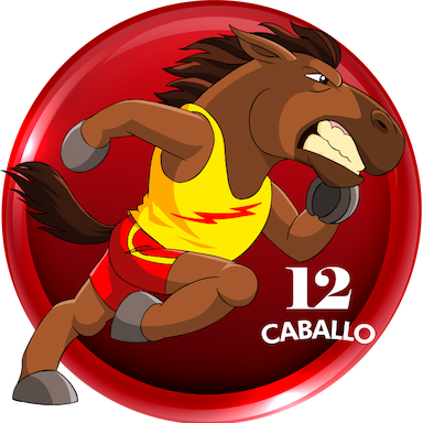 12-CABALLO