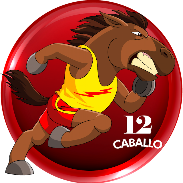 12-CABALLO