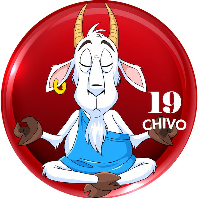 19-CHIVO