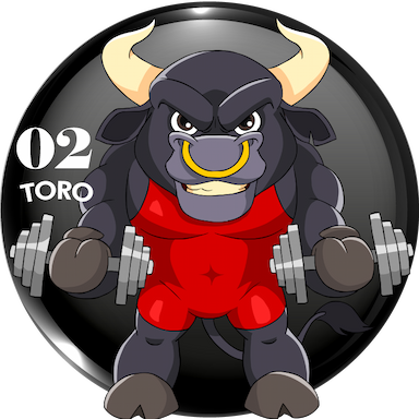 2-TORO