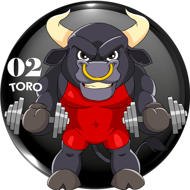 2-TORO