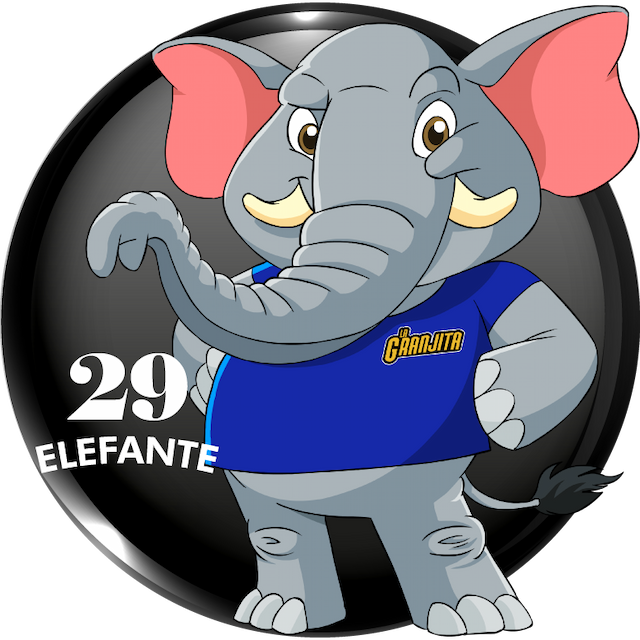 29-ELEFANTE