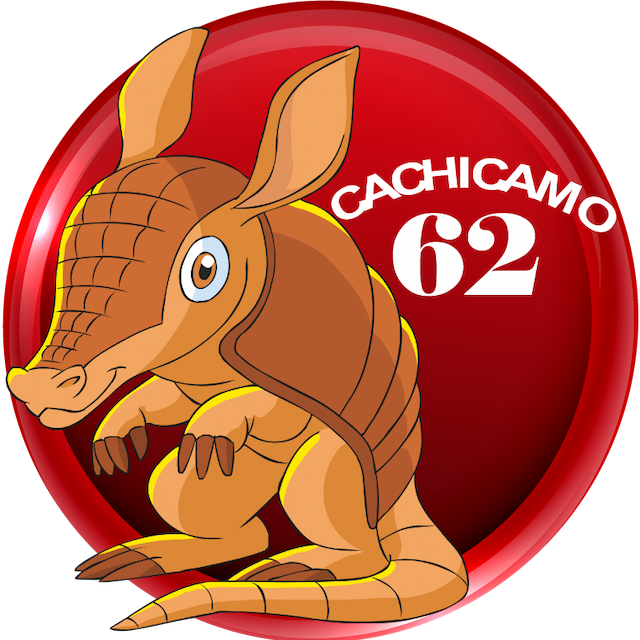 62-CACHICAMO