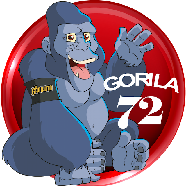 72-GORILA